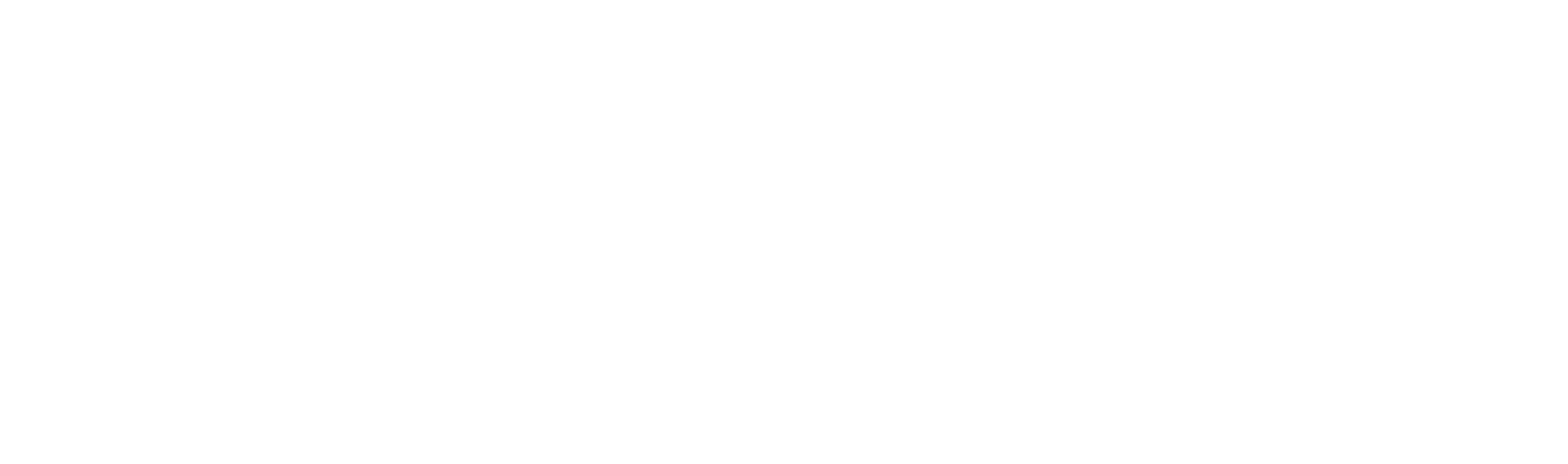 LBJ Décoration - Décoration d'intérieur | Logo blanc